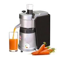 Carrot juicers on sale